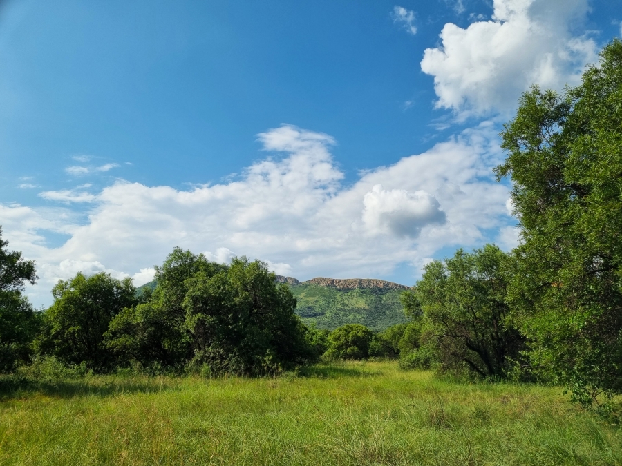 Commercial Property for Sale in Olifantsnek North West